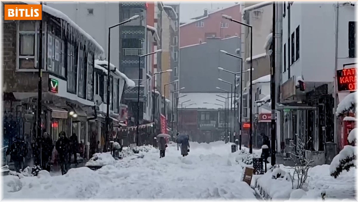 Tatvan'da okullar tatil edildi
