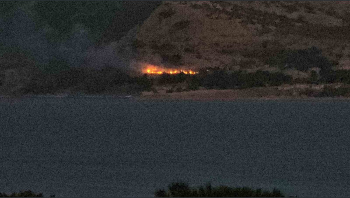 Tatvan'da orman yangını