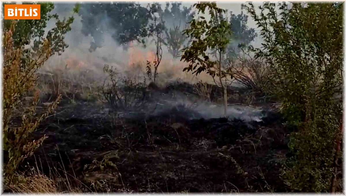 Tatvan'da örtü yangını