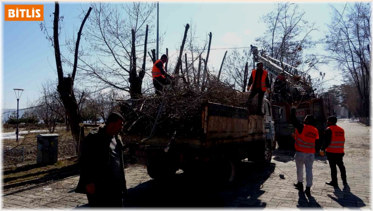 Tatvan'da park ve bahçelerde bahar temizliği