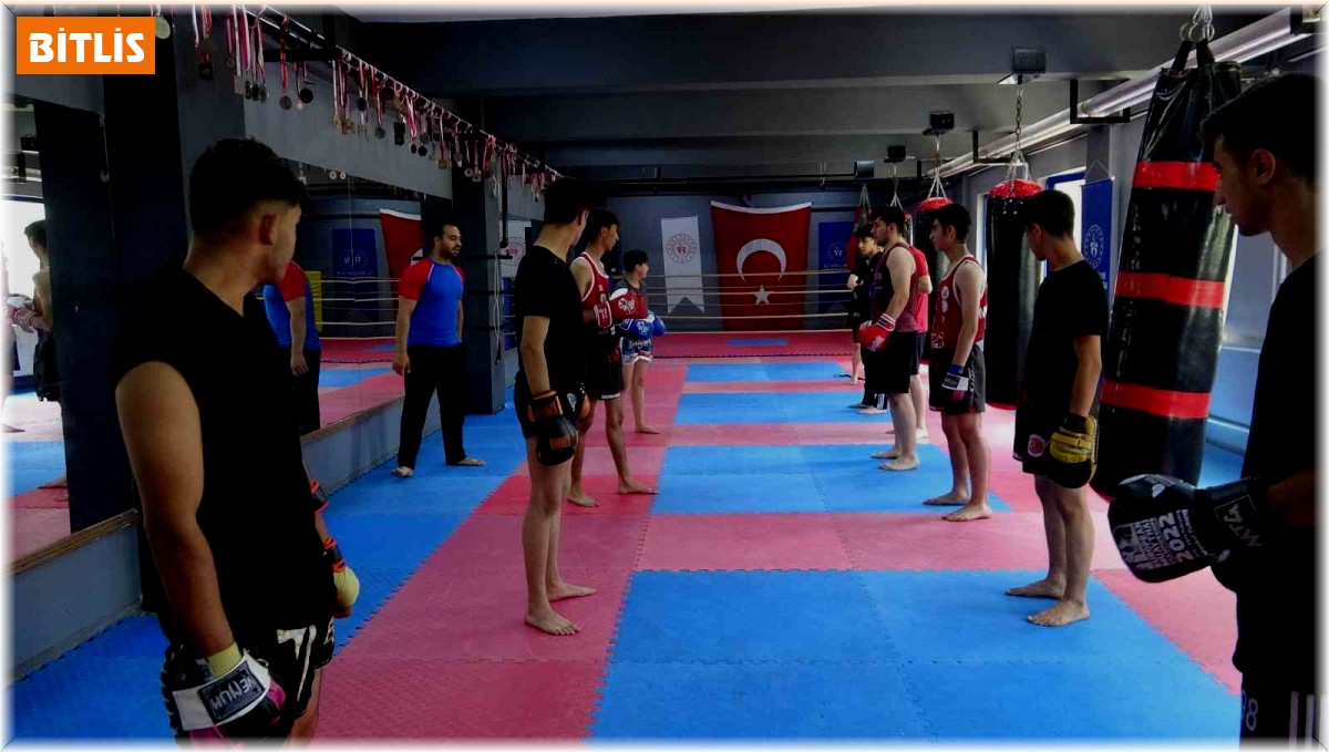 Tatvan'da ringlerin yıldızları yetişiyor