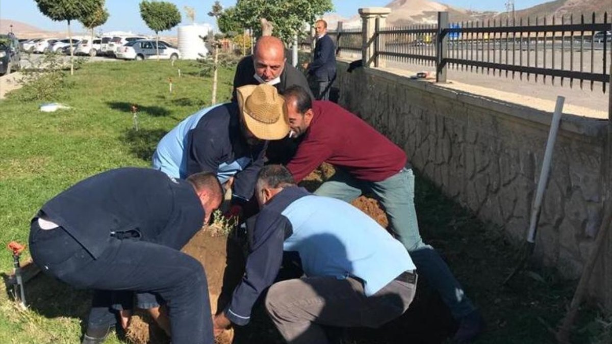 Tatvan'da sağlık çalışanları hastane bahçesine ağaç dikti