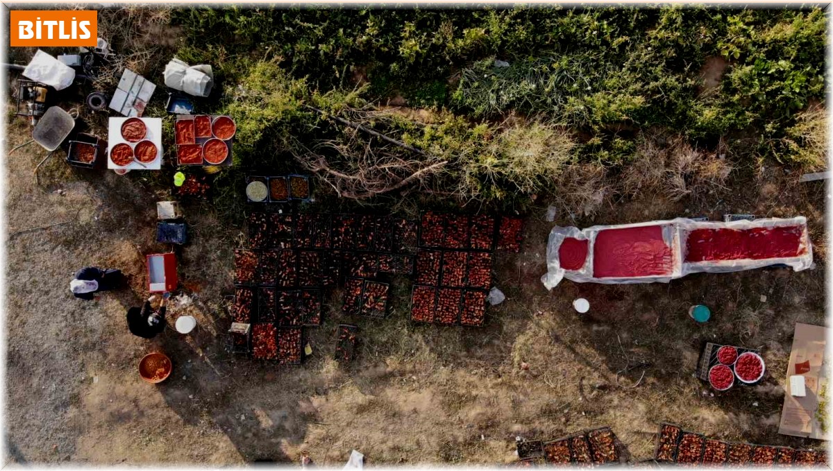 Tatvan'da salça kadınların gelir kapısı haline geldi