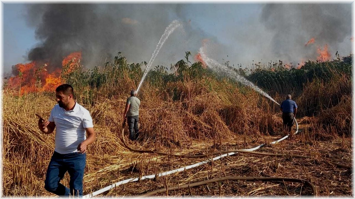 Tatvan'da sazlık alanda yangın