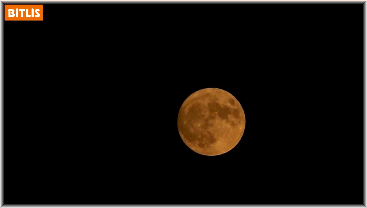 Tatvan'da "Süper Mavi Ay" eşliğinde halay çektiler