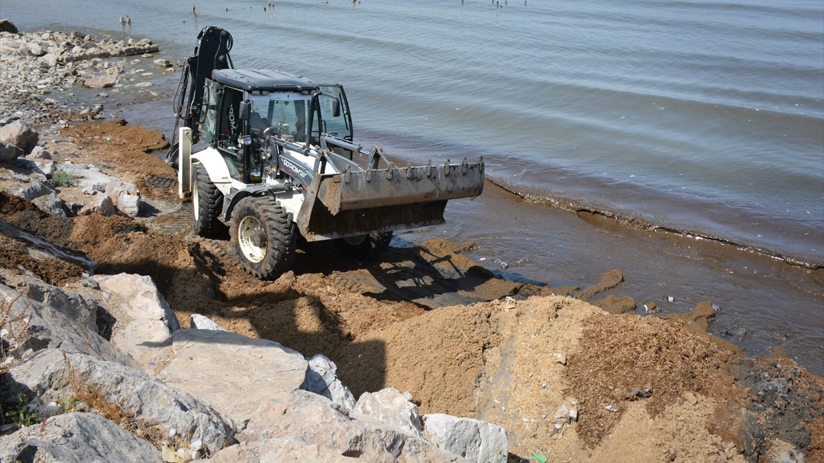 Tatvan'da Van Gölü kıyıları temizlendi
