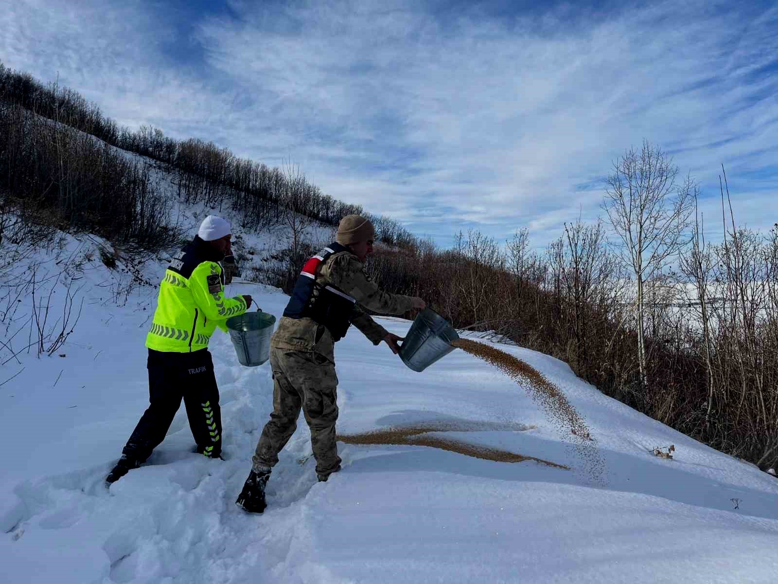Tatvan'da yaban hayvanları için doğaya yem bırakıldı