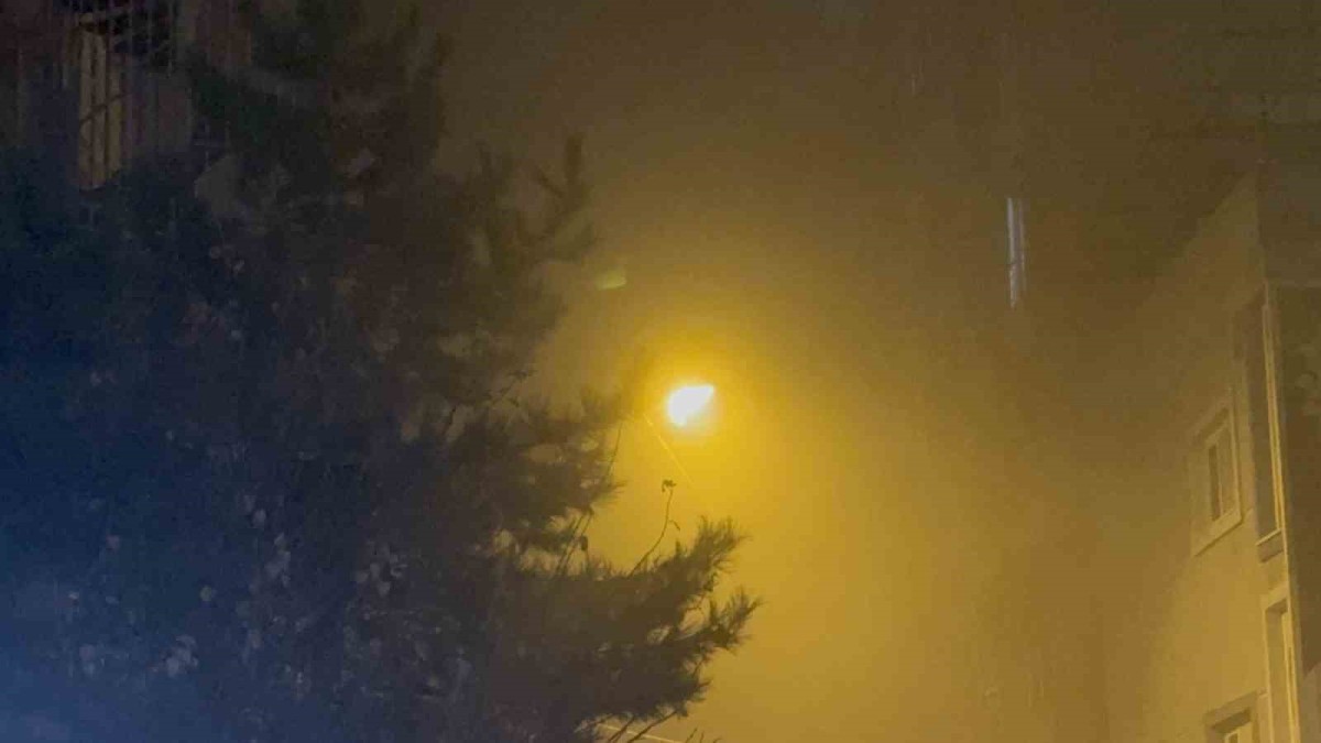 Tatvan'da yoğun sis etkili oldu