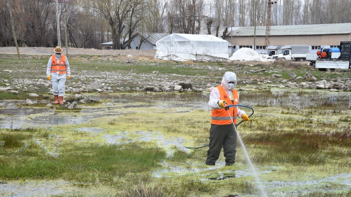 Tatvan'daki park ve yeşil alanlarda lavra ilaçlama çalışması