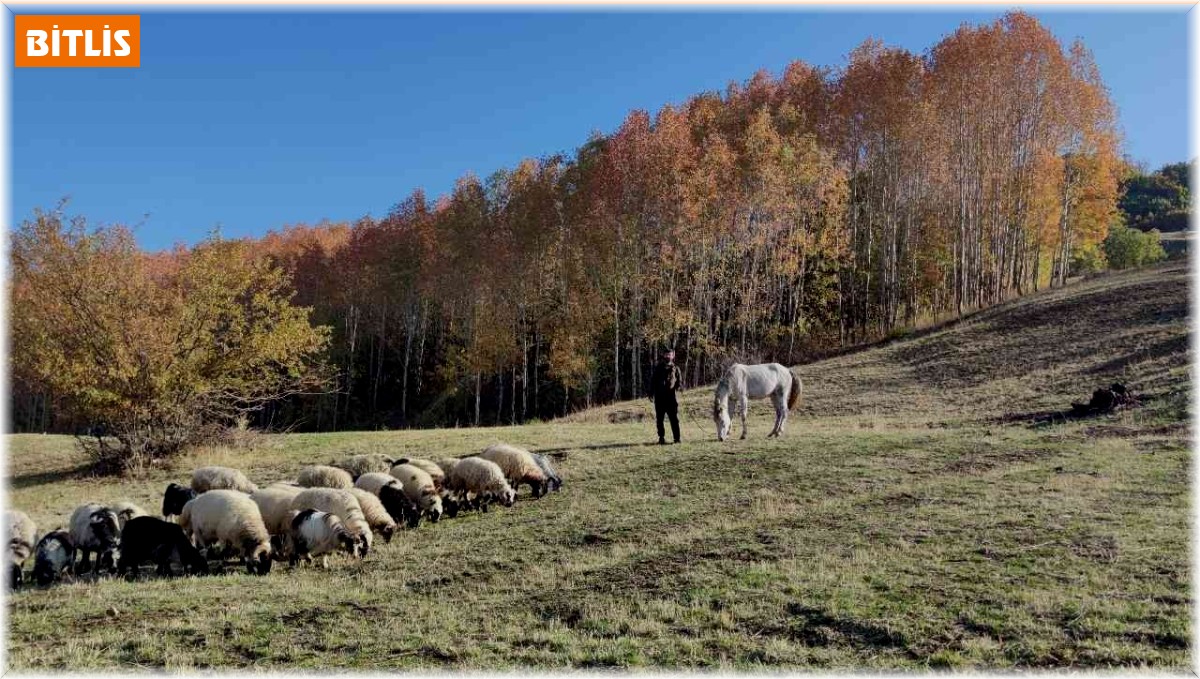 Tatvan'dan kartpostallık kareler