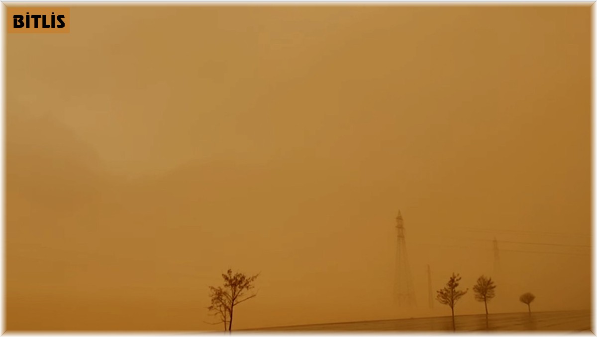 Tatvan güne çamurla uyandı