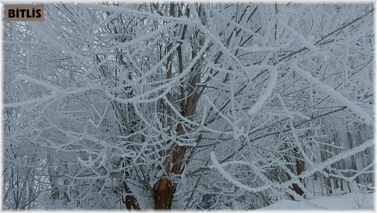 Tatvan'ın bir yanı sis bir yanı güneş