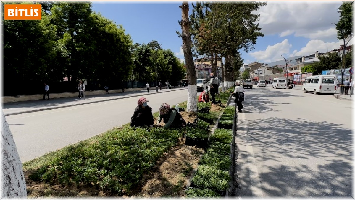 Tatvan kadın eliyle güzelleşiyor