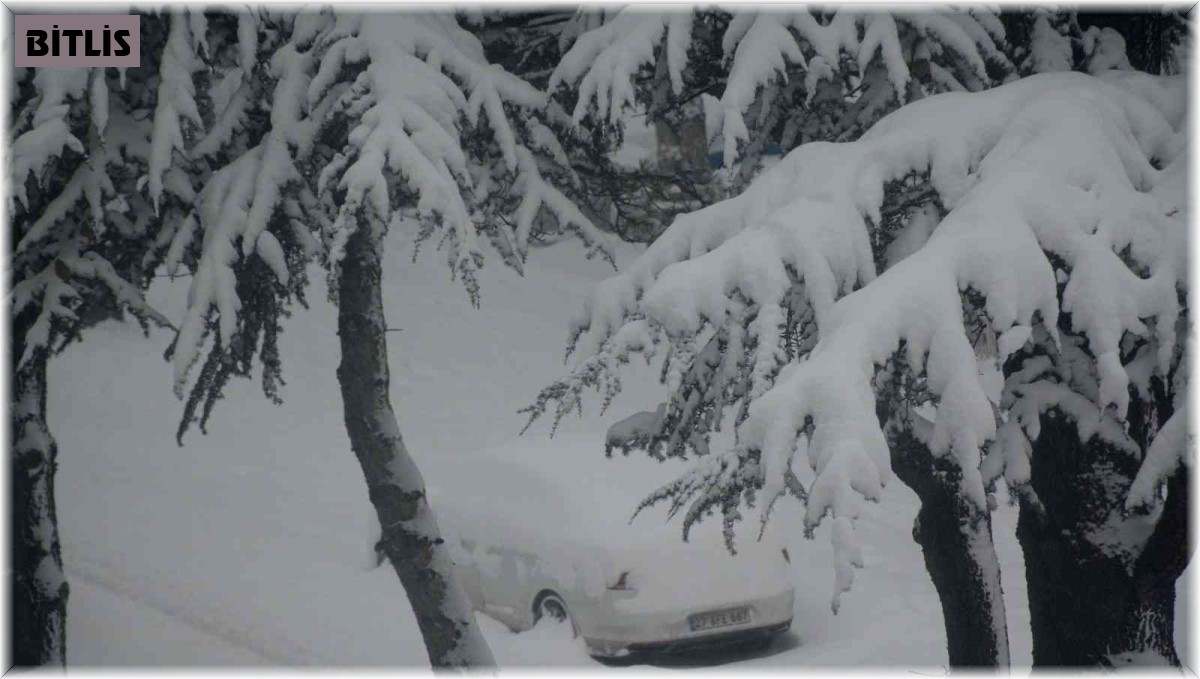 Tatvan kara teslim oldu