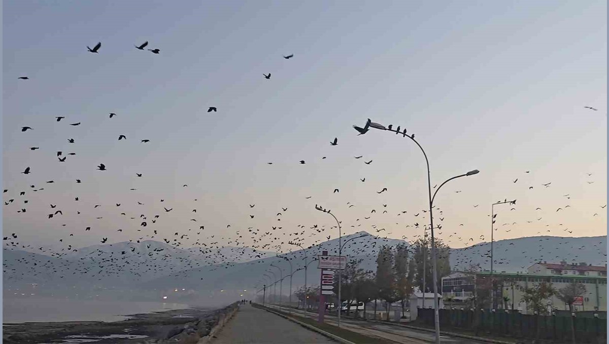 Tatvan sahilinde gökyüzünde sıra dışı manzara