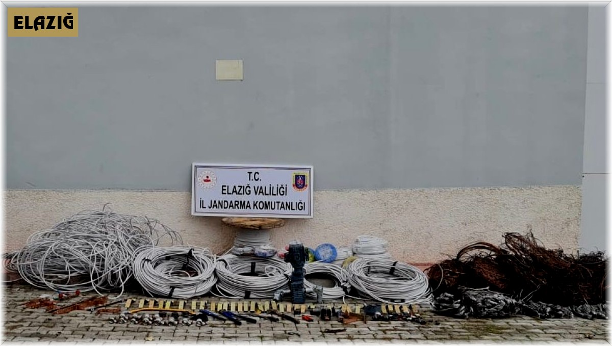 Tavuk çiftliğinden 250 bin liralık elektrik malzemesi çalanlar yakalandı