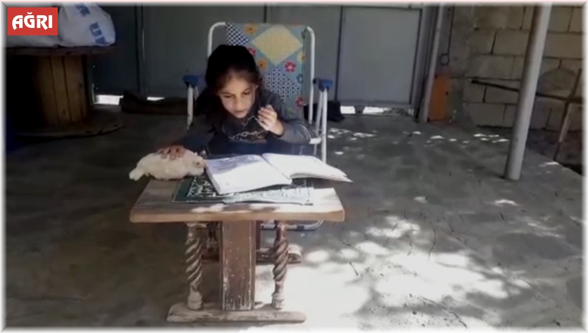 Tavuk ile çocuğun dostluğu gülümsetti