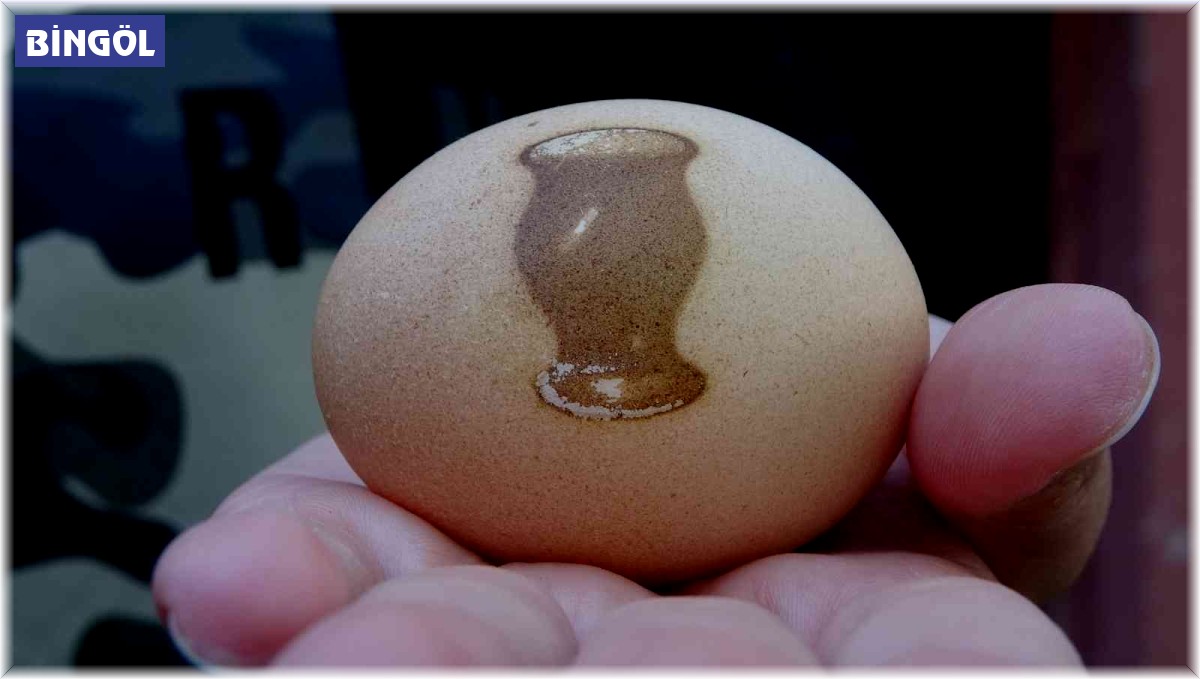 Tavuk, vazo desenli yumurtladı görenler şaşırdı
