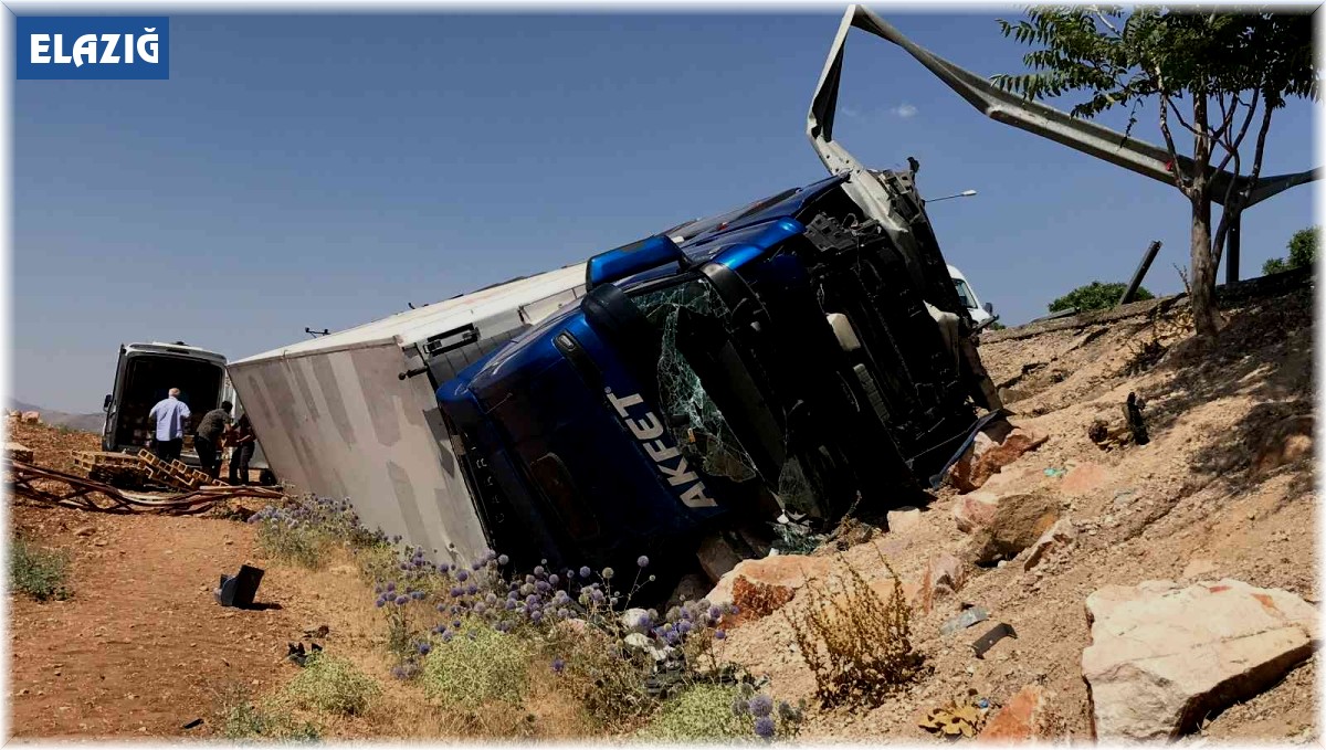 Tavuk yüklü tır şarampole devrildi: 1 yaralı