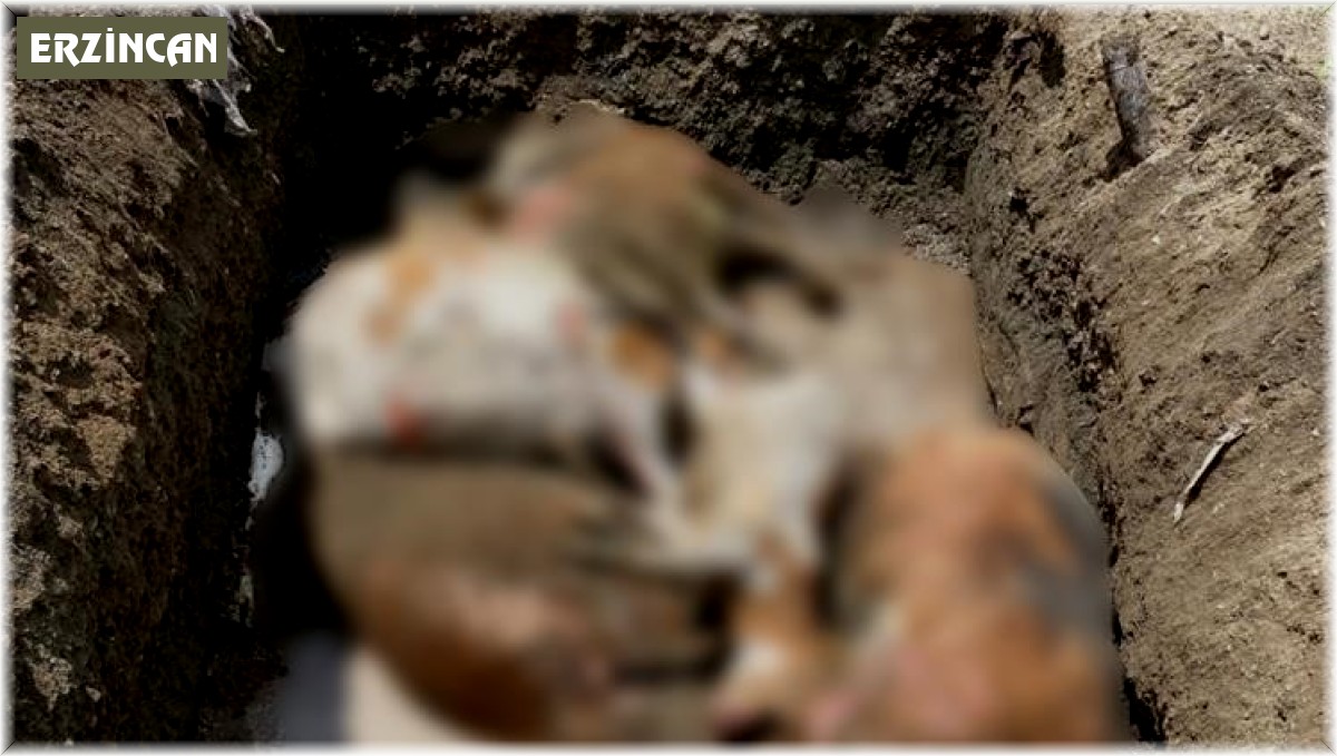 Tek geçim kaynağı olan inekleri yangında telef oldu