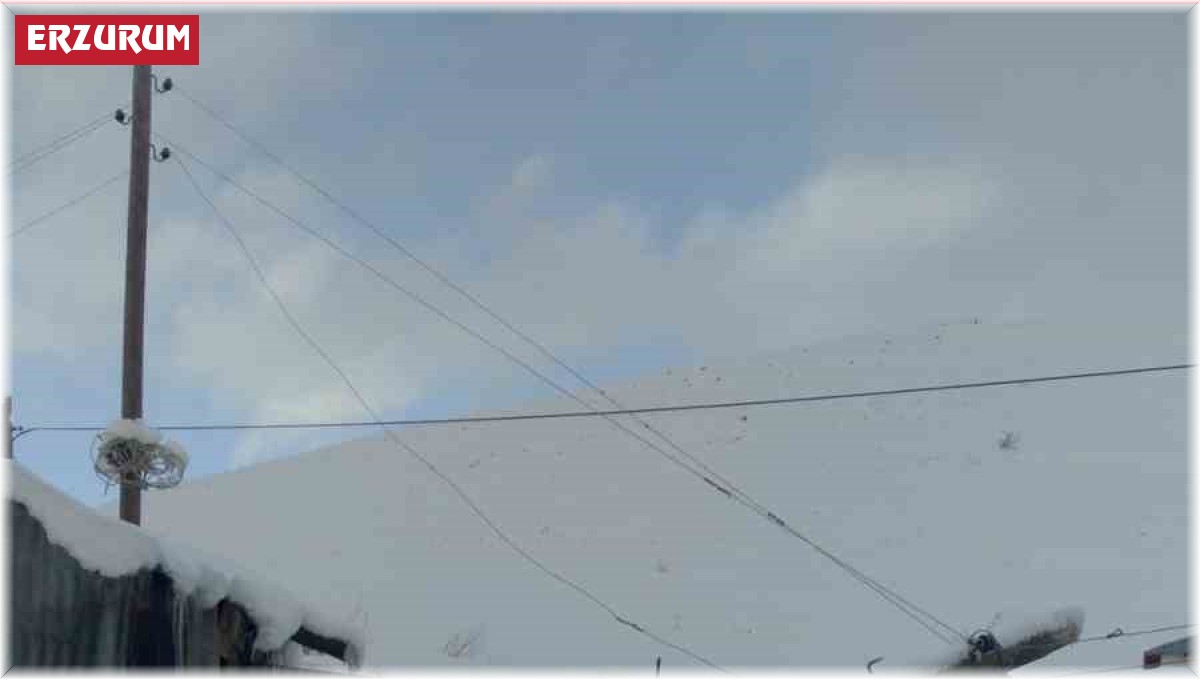 Tekman'da direkler devrildi, 30 mahalle 3 gün karanlıkta kaldı