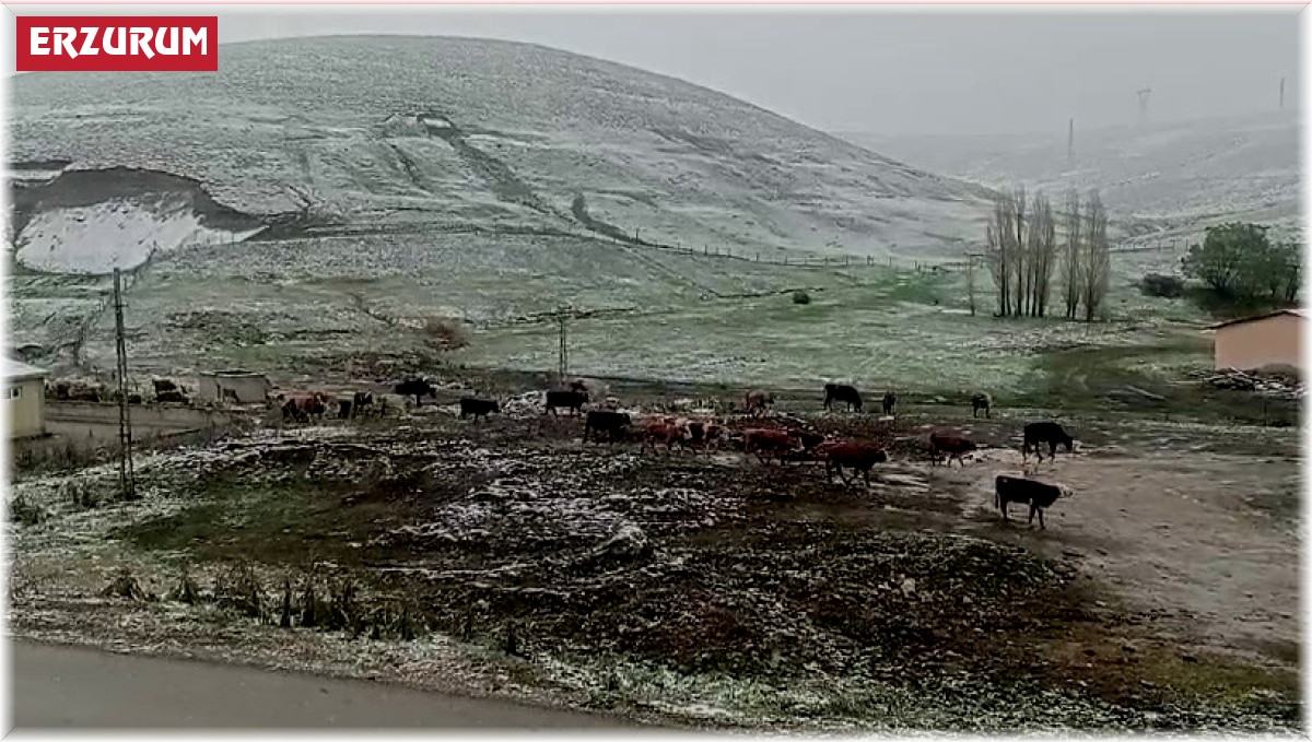 Tekman'da kar sürprizi