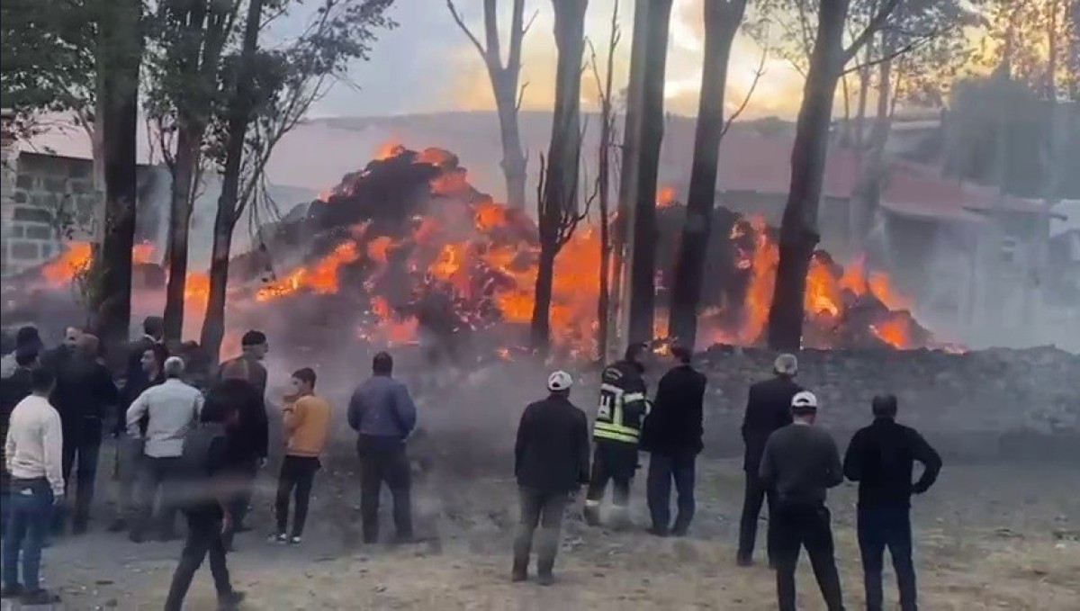 Tekman'da korkutan ot yangını