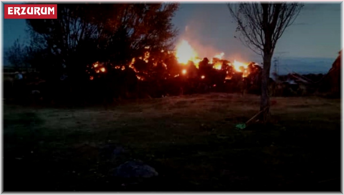 Tekman'da ot yangını