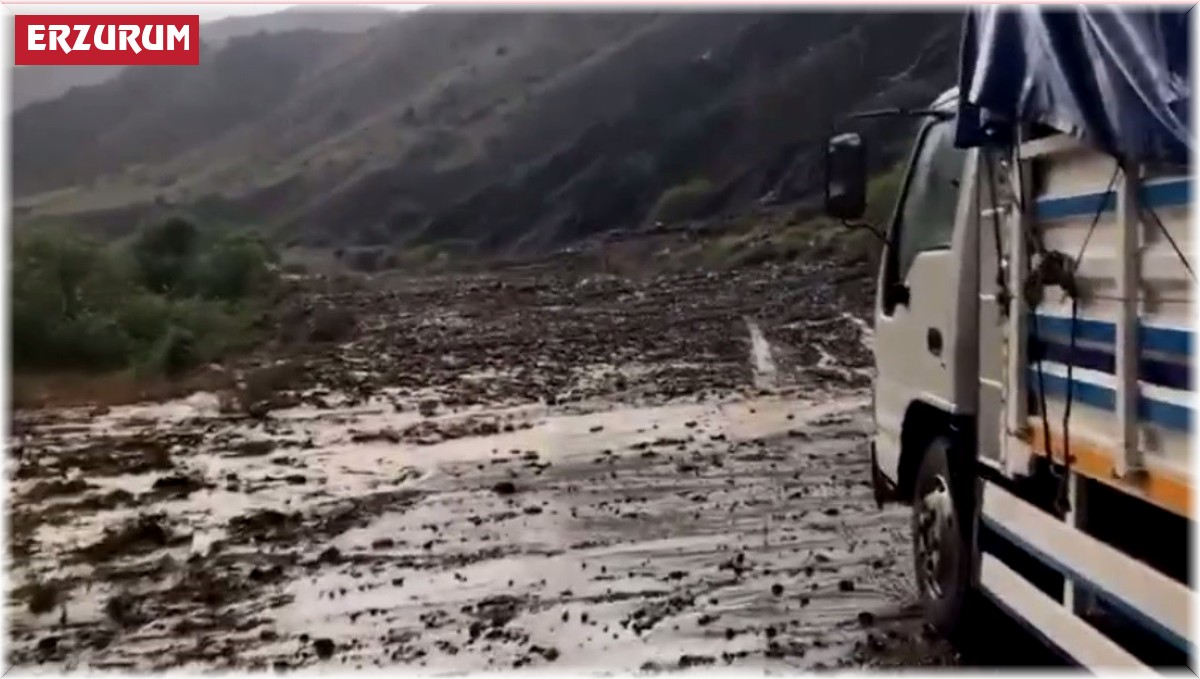 Tekman Yolu'nda sürücülerin zor anları