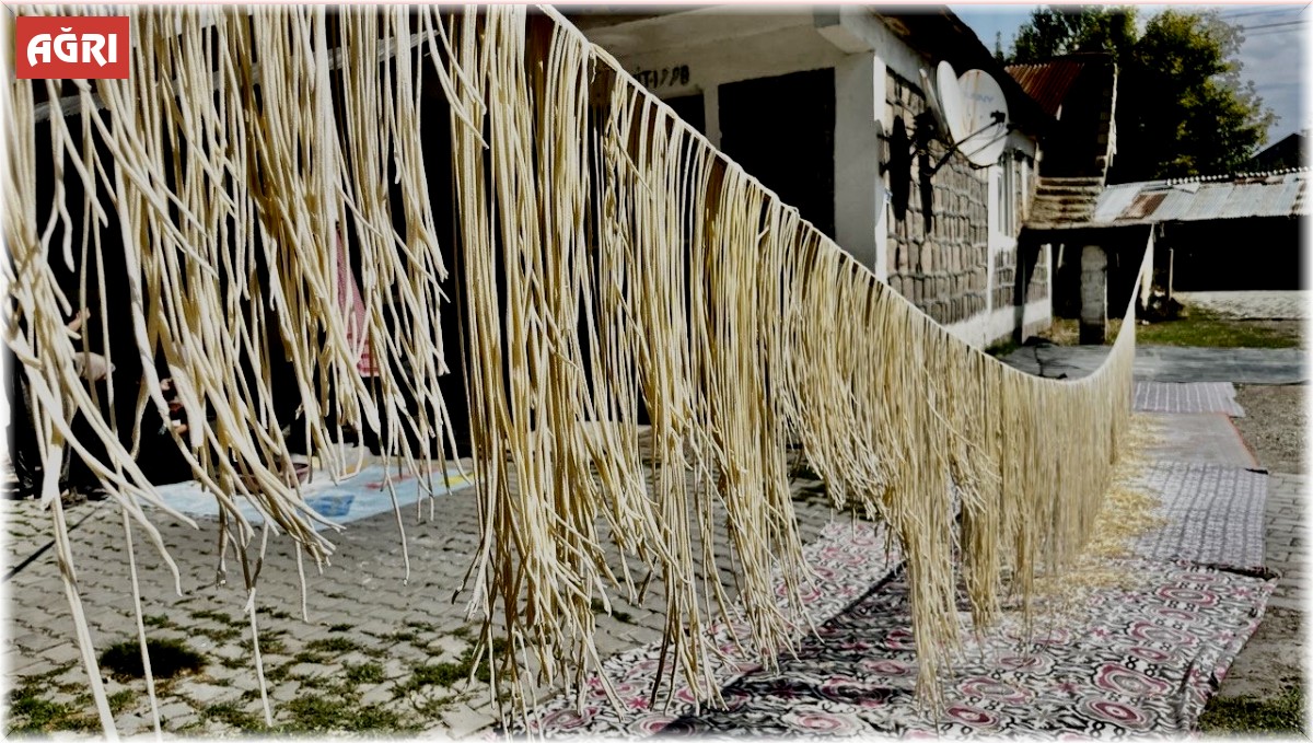 Tel tel iplere dizilen erişteler kış sofraları için hazırlanıyor