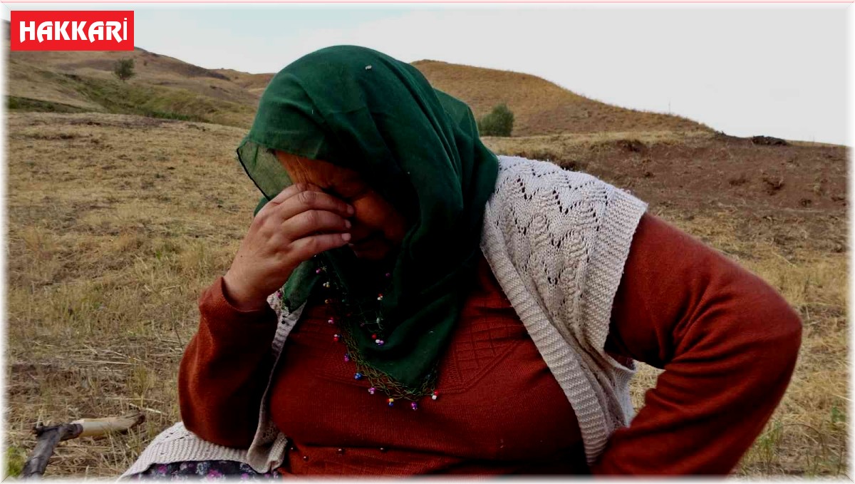 Telef olan ineğinin başında saatlerce hüngür hüngür ağladı