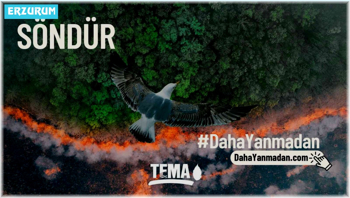 TEMA Vakfı, "Orman yangınlarını önlemek söndürmekten daha kolay"