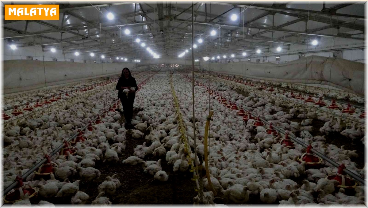 Temizlikçilikten patronluğa uzanan başarı hikayesi