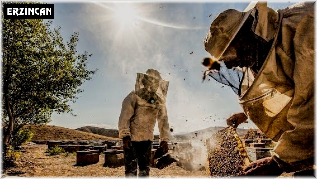 Tercan balı markalaşıyor