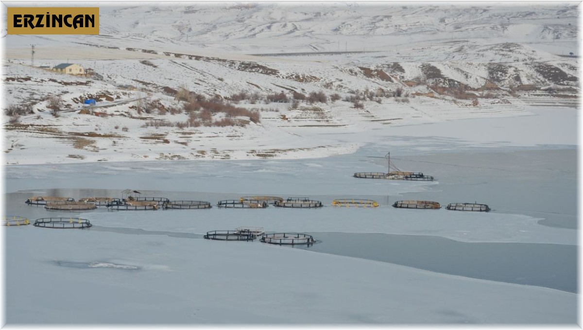 Tercan Baraj Gölü dondu