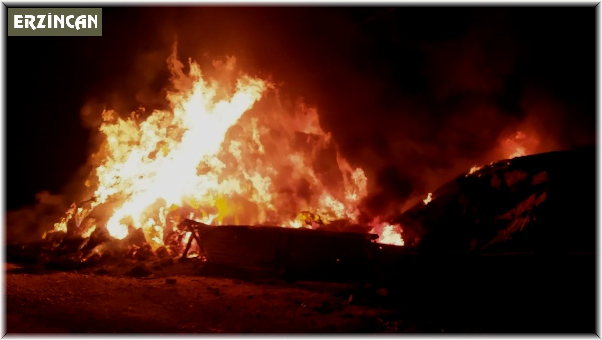 Tercan'da 2 bin 700 bağ ot yandı