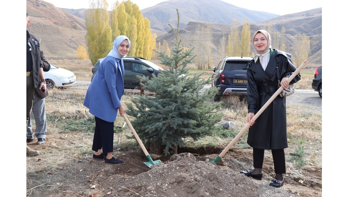 Tercan'da fidanlar toprakla buluştu