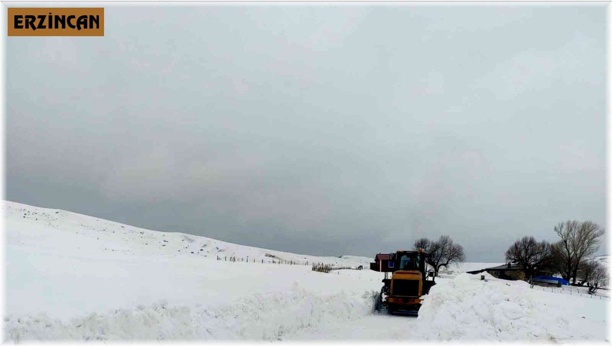 Tercan'da kardan kapalı köy ve mezra yolları açıldı