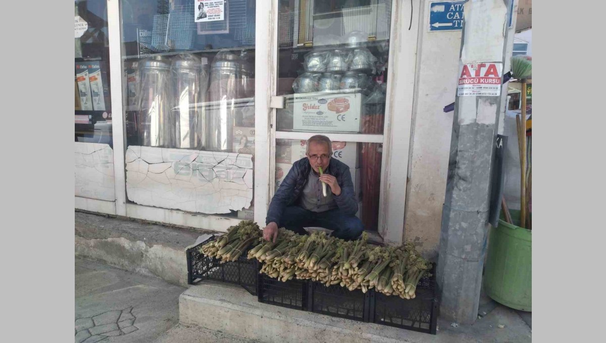 Tercan'da 'yayla muzunun' destesi 50 ila 80 TL'den satışta