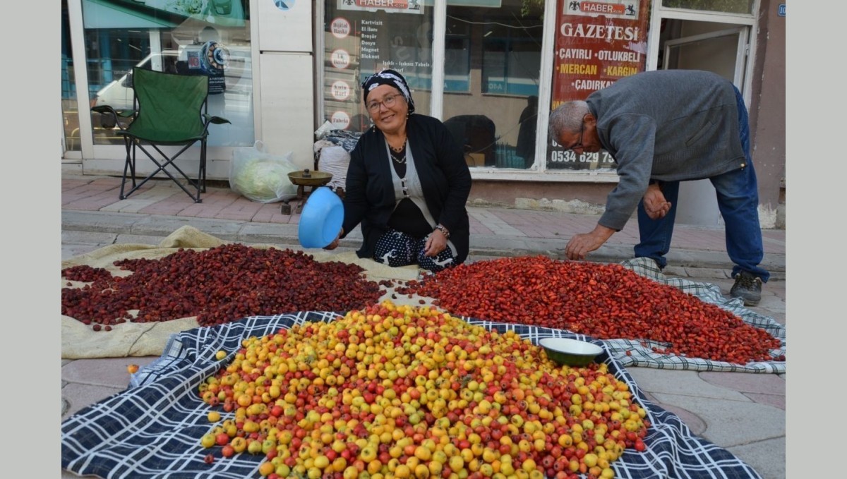Tercan dağlarında yetişen yaban meyveleri pazar tezgahlarını süslüyor