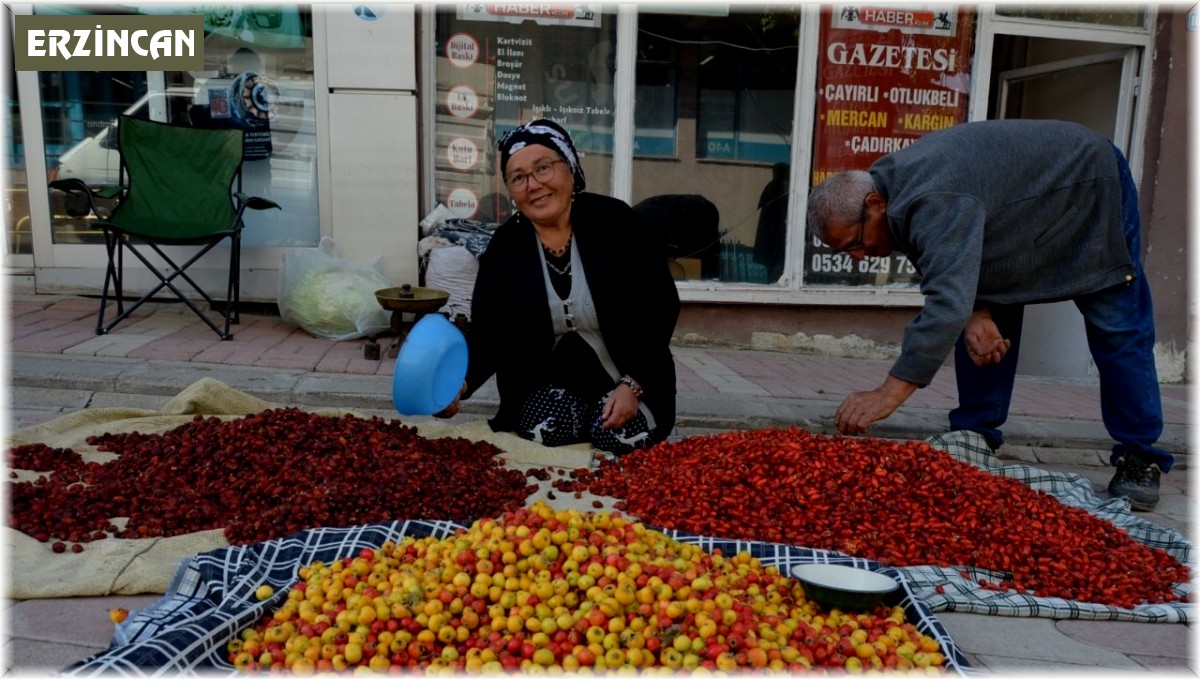 Tercan dağlarında yetişen yaban meyveleri pazar tezğahlarını süslüyor