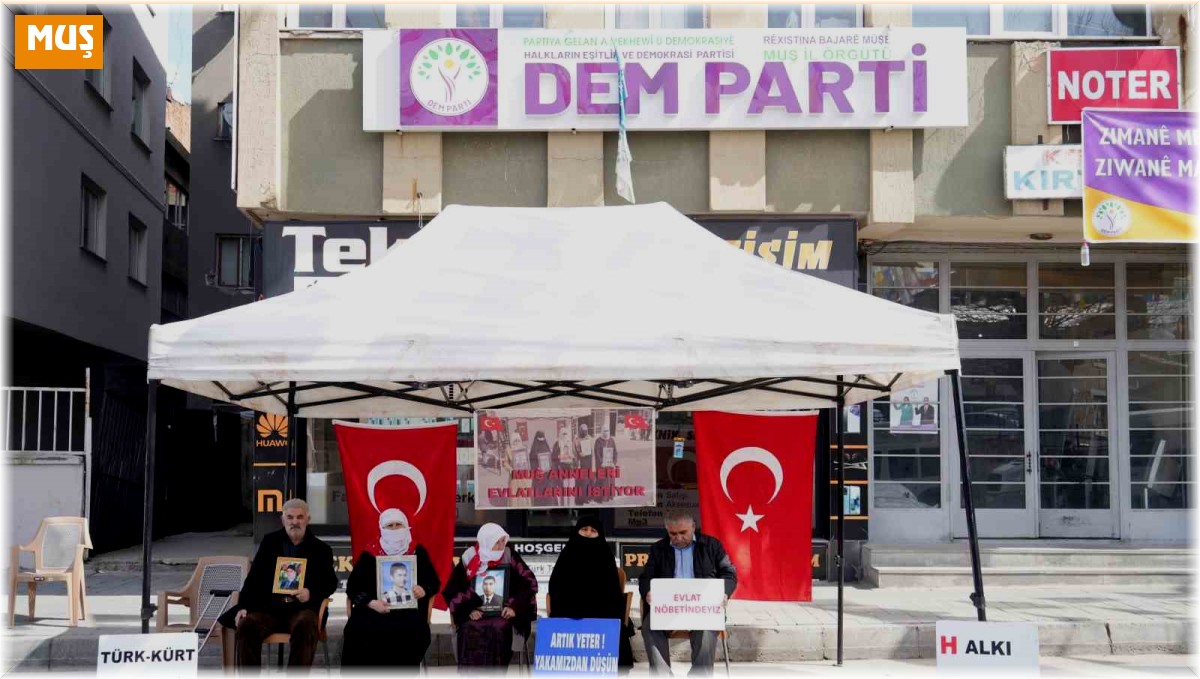 Terör mağduru acılı anne: "7 Ramazan'dır oğlumun hasretini çekiyorum"