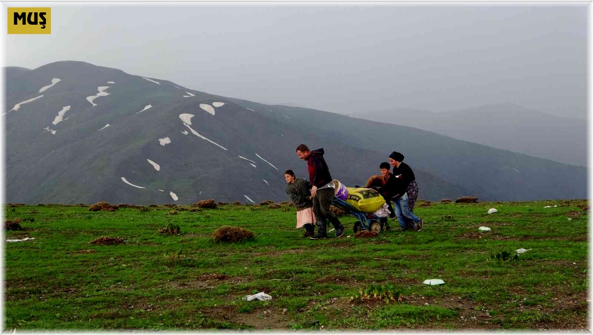 Terörden temizlenen dağlar vatandaşa gelir kapısı ve hobi alanı oldu
