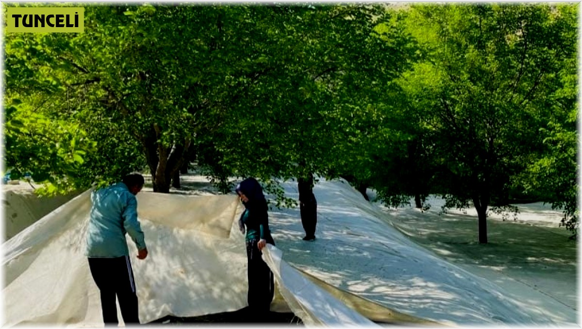 Tescilli Ulukale dutunda çalışmalar başladı