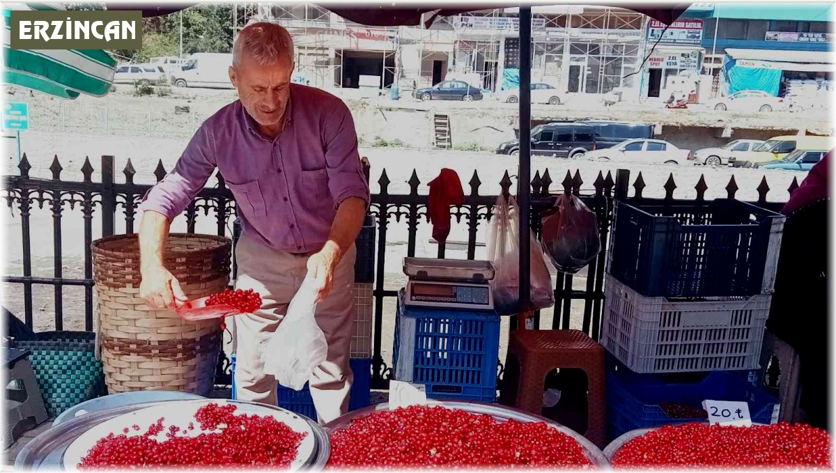 Tezgahlarda yerini aldı! 20 liradan satılıyor
