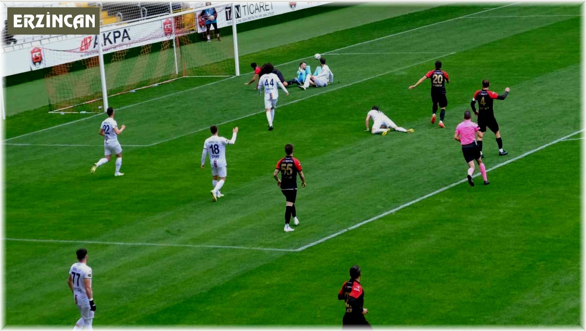 TFF 2. Lig: 24Erzincanspor: 0 - Düzcespor: 1