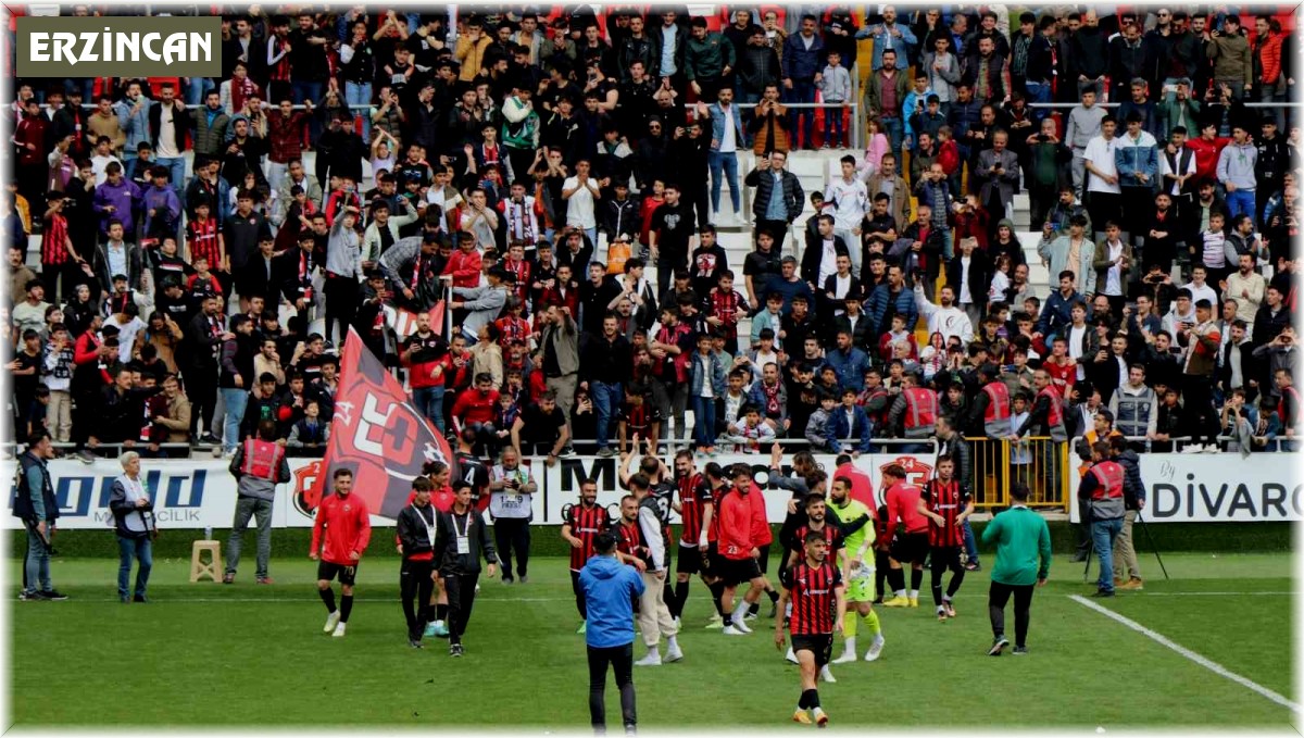 TFF 2. Lig: 24Erzincanspor: 1 - Amedspor: 0