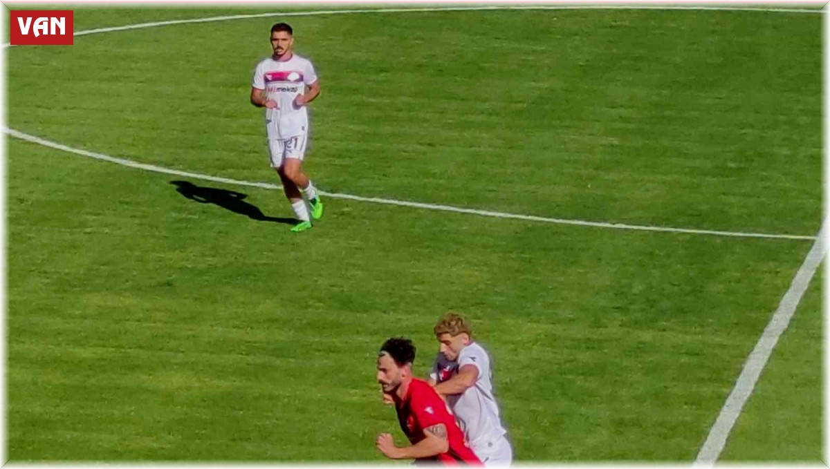 TFF 2. Lig: Vanspor FK: 1 - 1461 Trabzon FK: 1