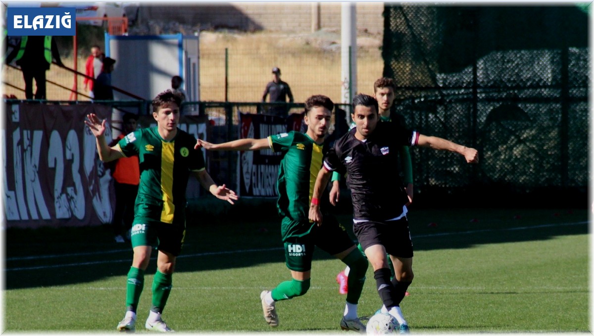TFF 3. Lig: 23 Elazığ FK: 2 - Darıca Gençlerbirliği: 2