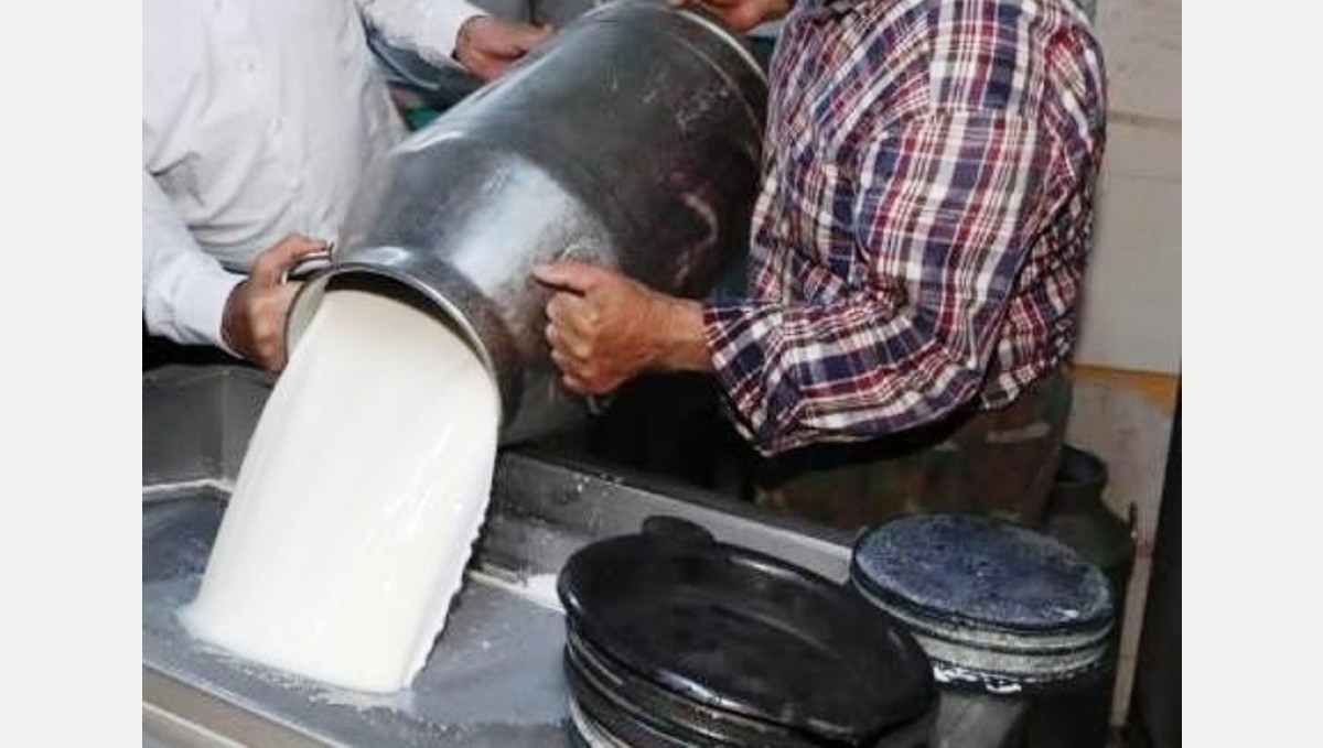 Ticari süt işletmelerince 1 milyon 15 bin 647 ton inek sütü toplandı